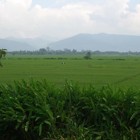 Rico Resort Chiang Kham Bagian luar foto