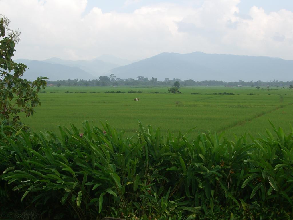 Rico Resort Chiang Kham Bagian luar foto
